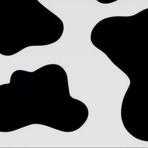 Meet your Posher, Rayna